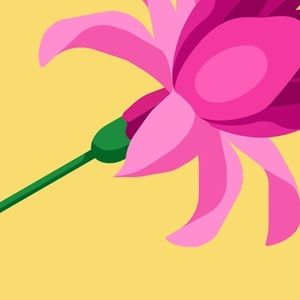 Meet your Posher, Arianna